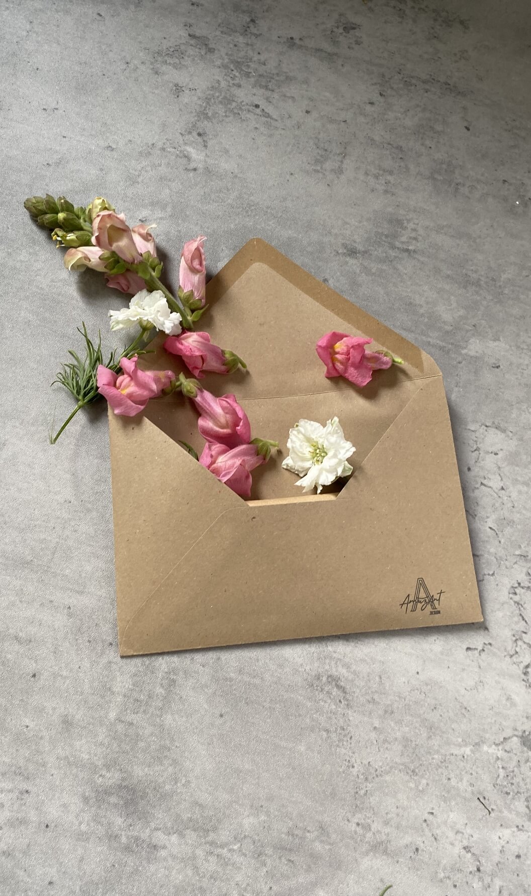 AmuzAnt-FAQ-envelope