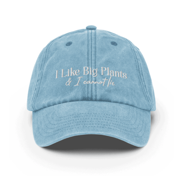 Like Big Plants - HAT