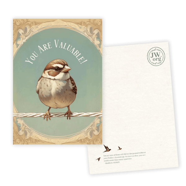 Valuable Sparrow - Ministry Card x 10